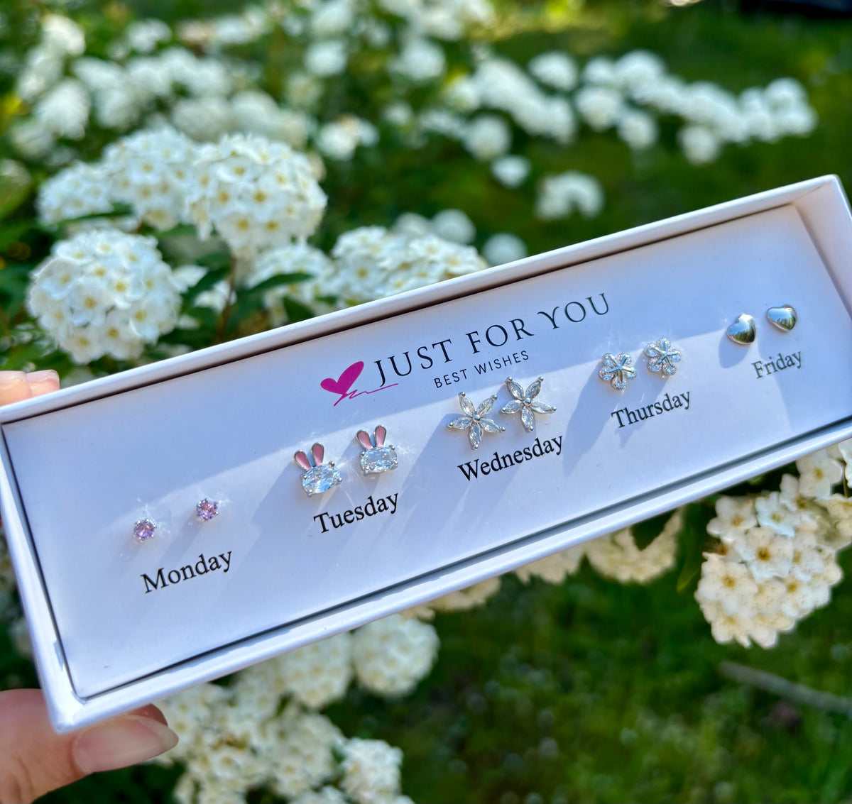 Boite 5 Clous d'oreilles Petit Trésor