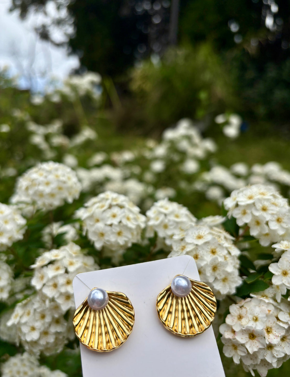 Boucles d'oreilles Ostra