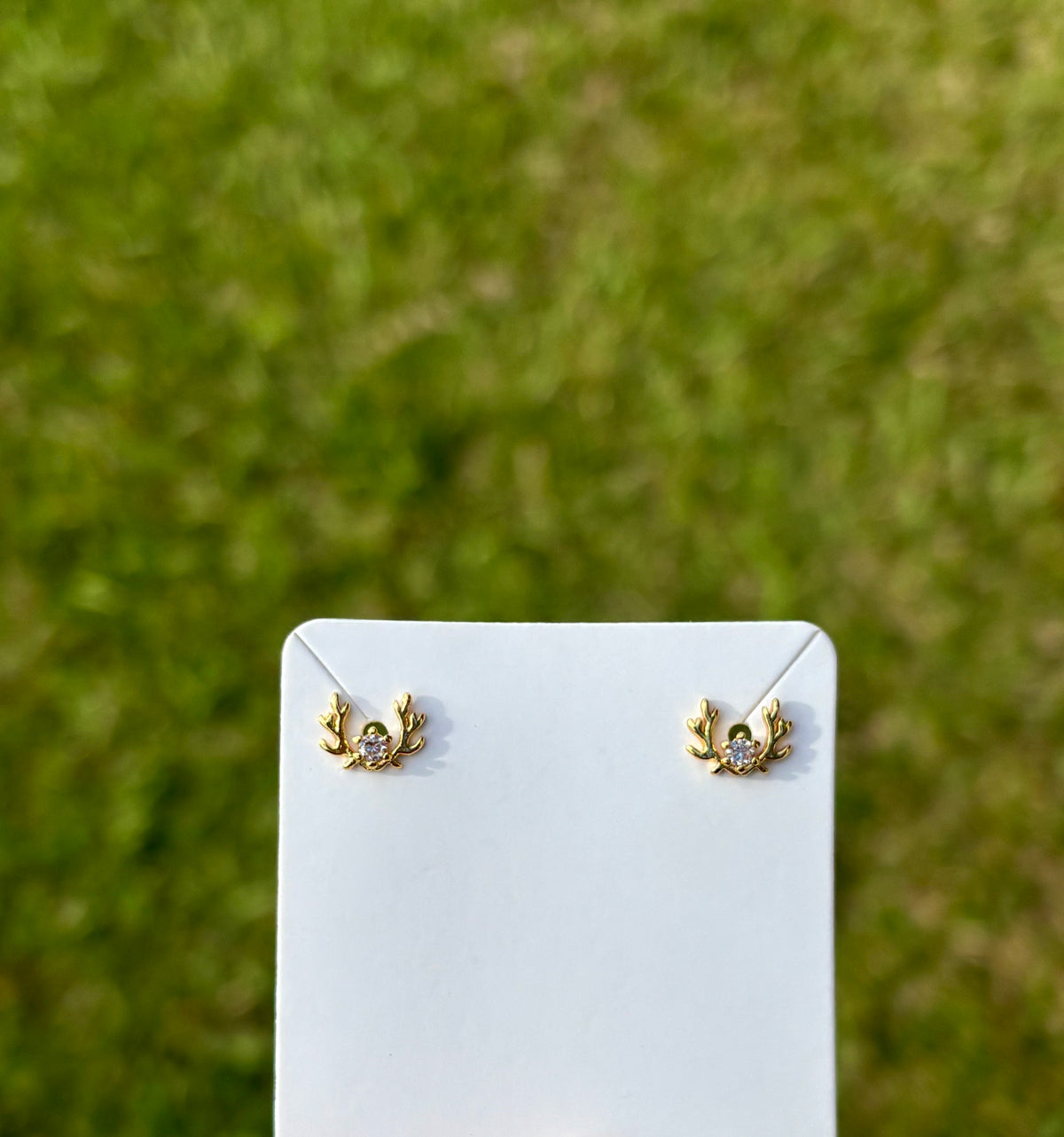 Clous d'oreilles Cerfs