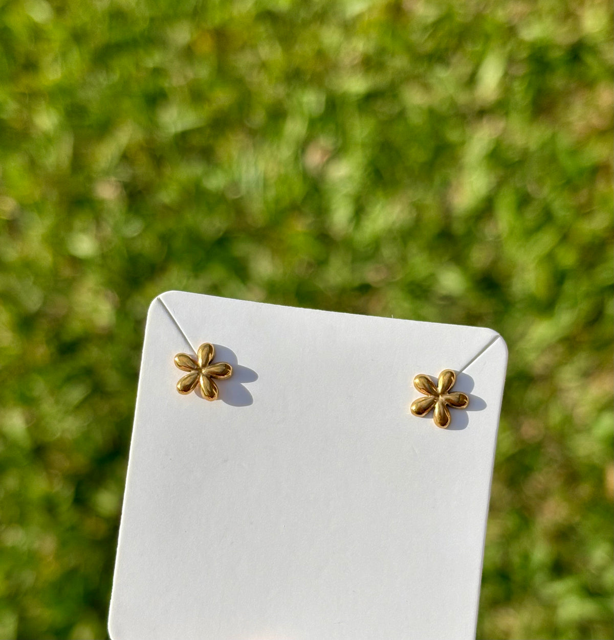 Clous d'oreilles Sucrée