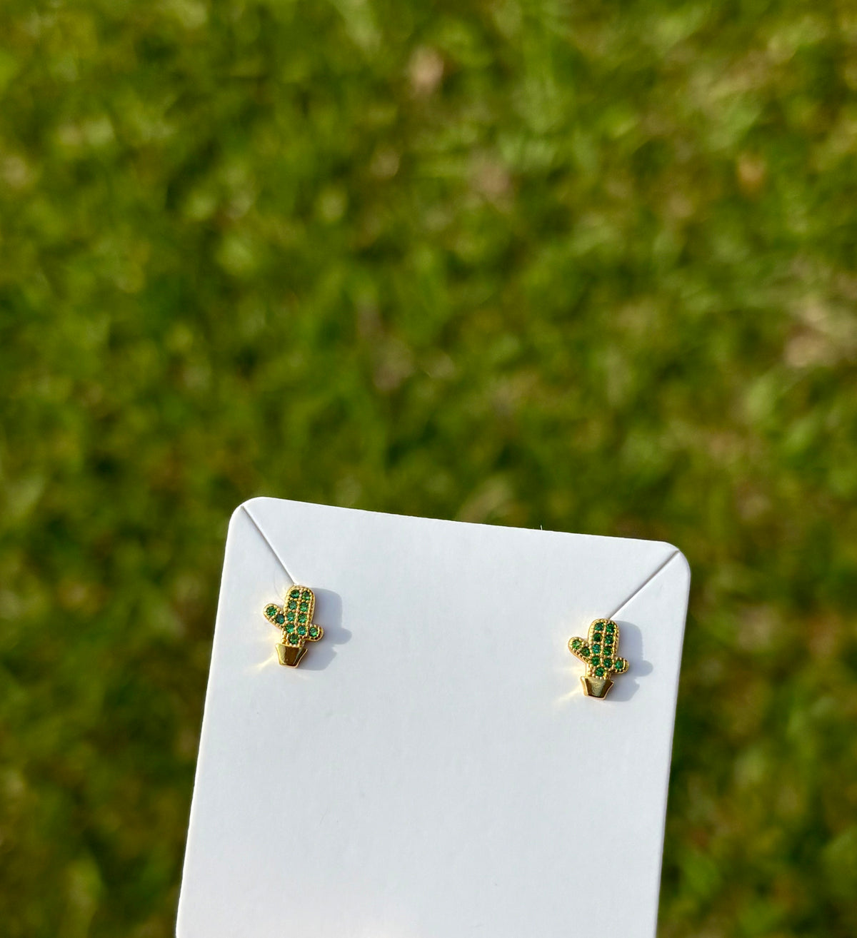 Clous d'oreilles Cactus